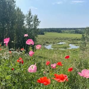 Meet your Posher, Marcia